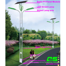 WPSRR-8702 3~15m Municipal Road Hot DIP Galvanized Steet Light Pole style